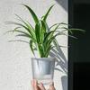 Vaso de Flores Autoirrigável Plástico Listrado com Cordas de Pavio Reservatório de Água Vaso para Plantas de Interior para Mesa Escritório Decoração de Casa