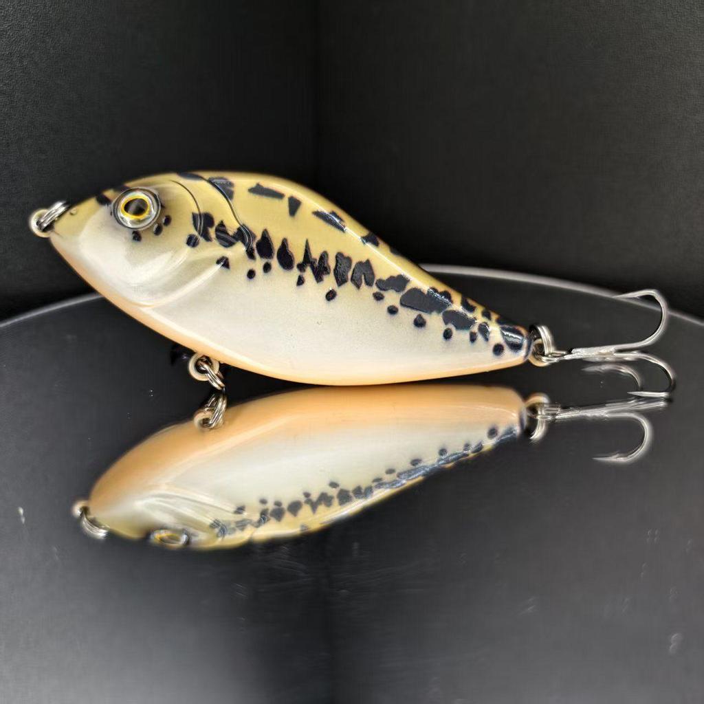 10cm 45g Sinking Pike Jerkbait – The Ultimate Predator Lure,Suitable for Both Saltwater and Freshwater