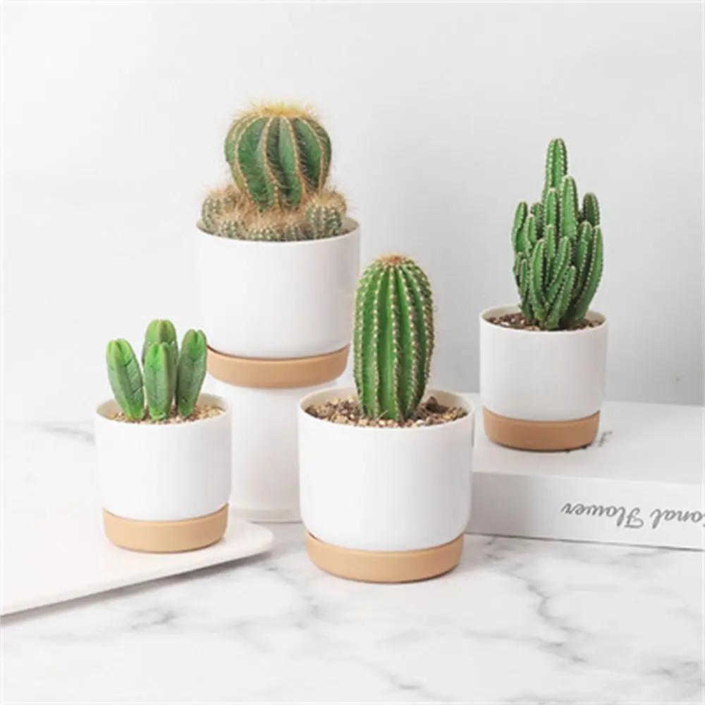 Cactus Garden Supply Succulent Plants Self Watering Flower Pot With Drainage Hole Orchid Pots Flower Containers Indoor