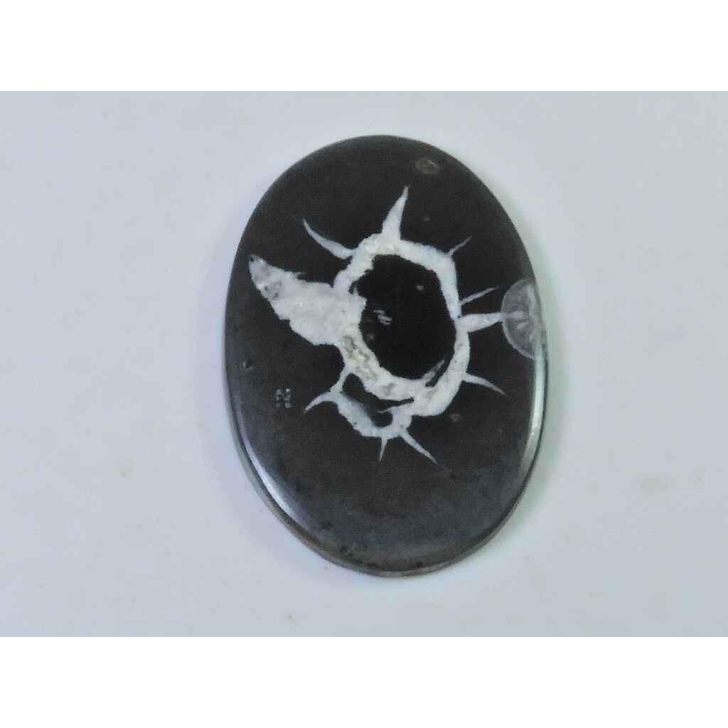 

24Cts Natural Septarian Gronate Oval Crystal Cabochon Loose Gemstone 25X36MM SK-2345