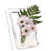 Transparente Foto-Rahmen-Vase Frisch- und Trockenblumen Hydroponische Blumenvase Heimschmuck