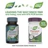 Pepogest®, Peppermint Oil, 0.2 ml, 60 Softgels