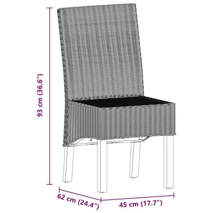 Chaises à manger - vidaXL - Lot de 2 - Rotin authentique - Bois massif - Style contemporain