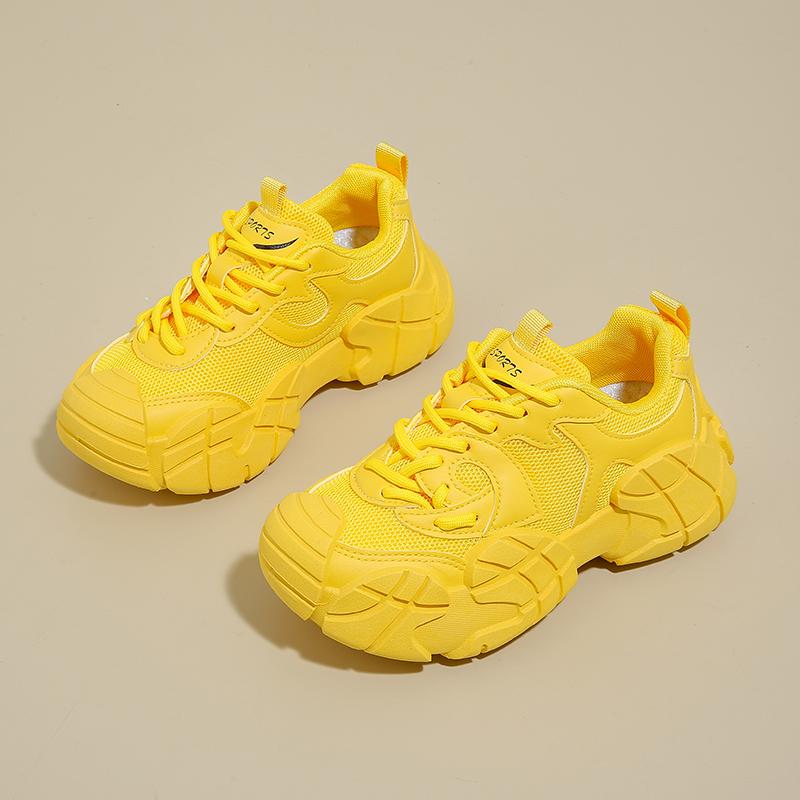 2026 Fashion Dad Shoes Women Outdoor Sneakers Spring Autumn Breathable New Thick Sole Comfortable Sneakers Lace Up Casual Shoes