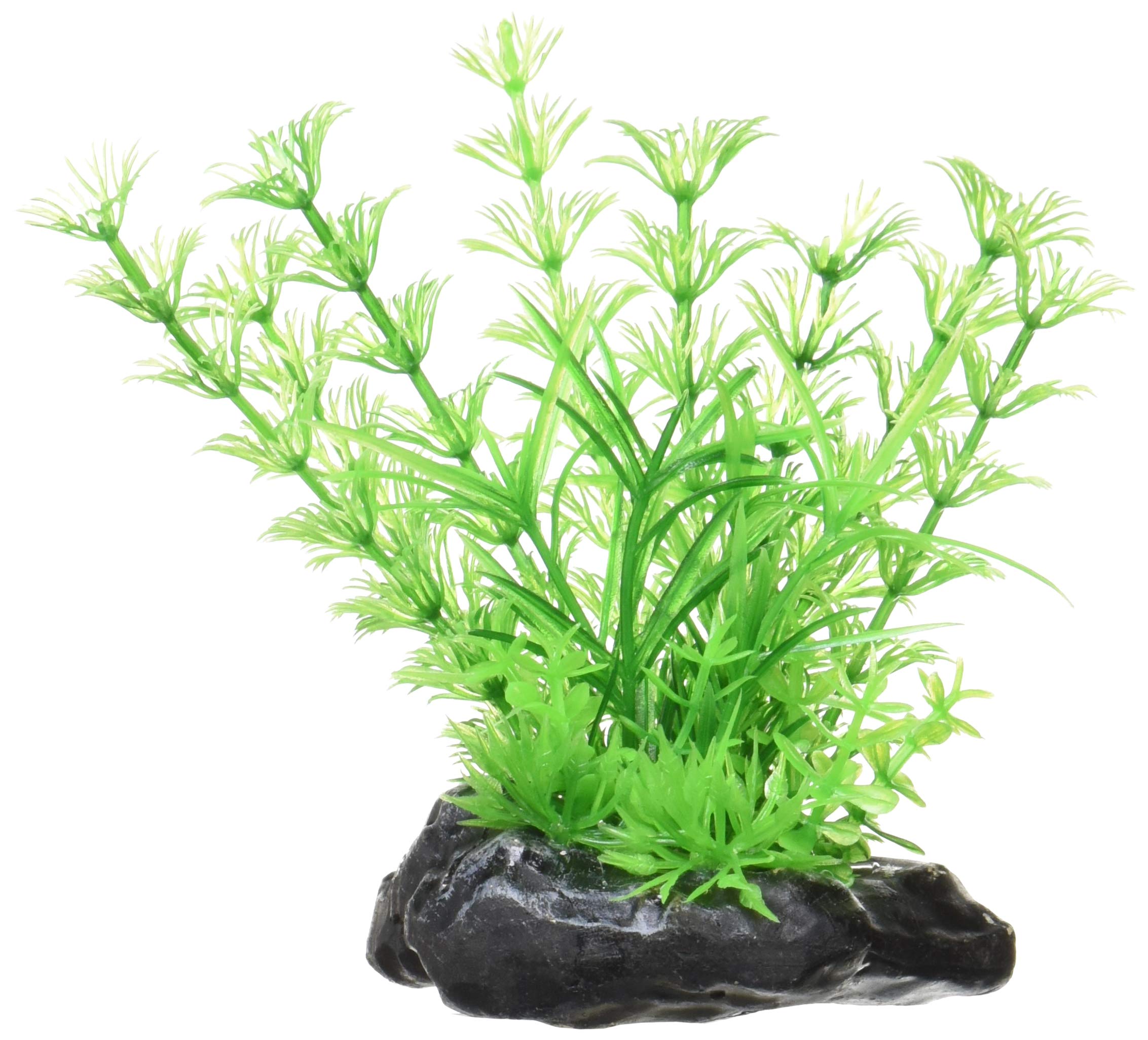 

Nisso Little Garden Mini 1