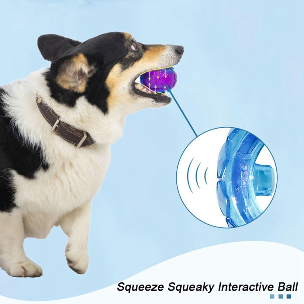 Toys Pet Supplies Relieve Boredom Outdoor Play Sounding Toy Molar Ball Elasticity Ball Dog  Toy