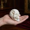 Halloween Totenkopf Schmuckstück, Außerirdischer Totenkopf Form Figur aus Kunstharz, Realistische Knochen Detail Skulptur Tischdeko Party Dekoration