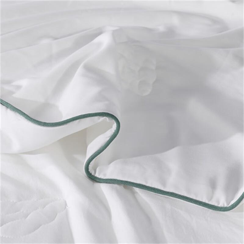 Mercury Home Textiles Soy Fiber All-Season Quilt with Ice Silk Mat Set