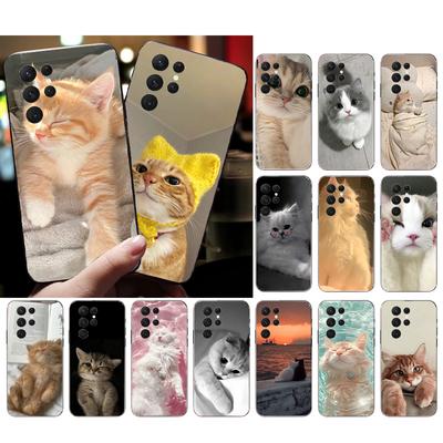 Handyhülle für Samsung Galaxy S26 S25 S24 S23 S22 S21 Ultra S24 S23 S22 S21 S25 Plus S24 FE Niedliche Katzen