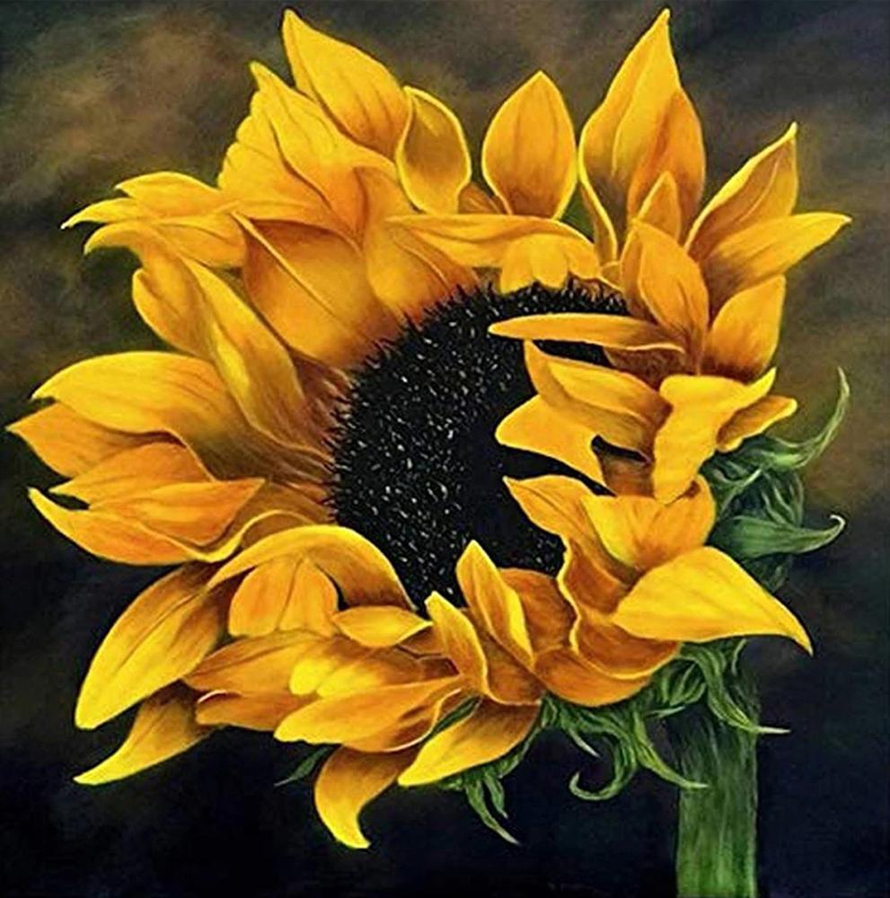 5D DIY diamantová malba Zvířecí sova Diamantové vyšívání Krajina Západ slunce Mozaika Křížkový steh Domácí dekorace Vánoční dárek