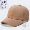 High quality pineapple cloth baseball cap autumn and winter visor cap cap embroidery men