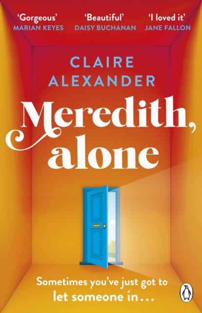 Meredith Alone by Claire Alexander Paperback Book 9781405951258