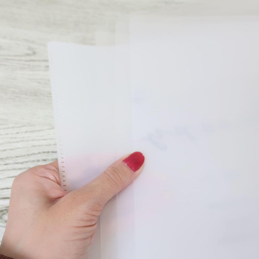 Snoopy Clear Ribbon Peanuts [Pocket File] 10-Pocket File/Colorful