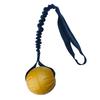 Dog Training EVA Floating Ball