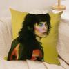 Singer C-Conan G-Gray Cushion Cover Silky Short Plush Invisible Zipper Dustproof Sofa Pillow Case For Home Decor