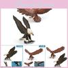 Realistic Plastic Static Model Of African Fish Eagle And Golden Eagle For Children's Decor