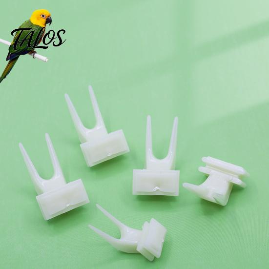 Pet Bird Feeding Accessory Food Fork Feeder for Cage, Parrots Cage Holder Fruit For Birds Fork, Vegetable Tool Forks Cockatoos Treats Enrichment