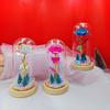 Deko & Wohnaccessoires – Deko-Artikel