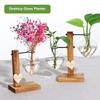 1Pc Heart Shape Hydroponic Vase Desktop Glass Plant Terrarium with Wood Support Stand Glass Vase Water Plant Propagation Station