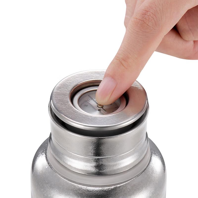 DESLON Pure Titanium Thermal Mug with Visible Temperature Display