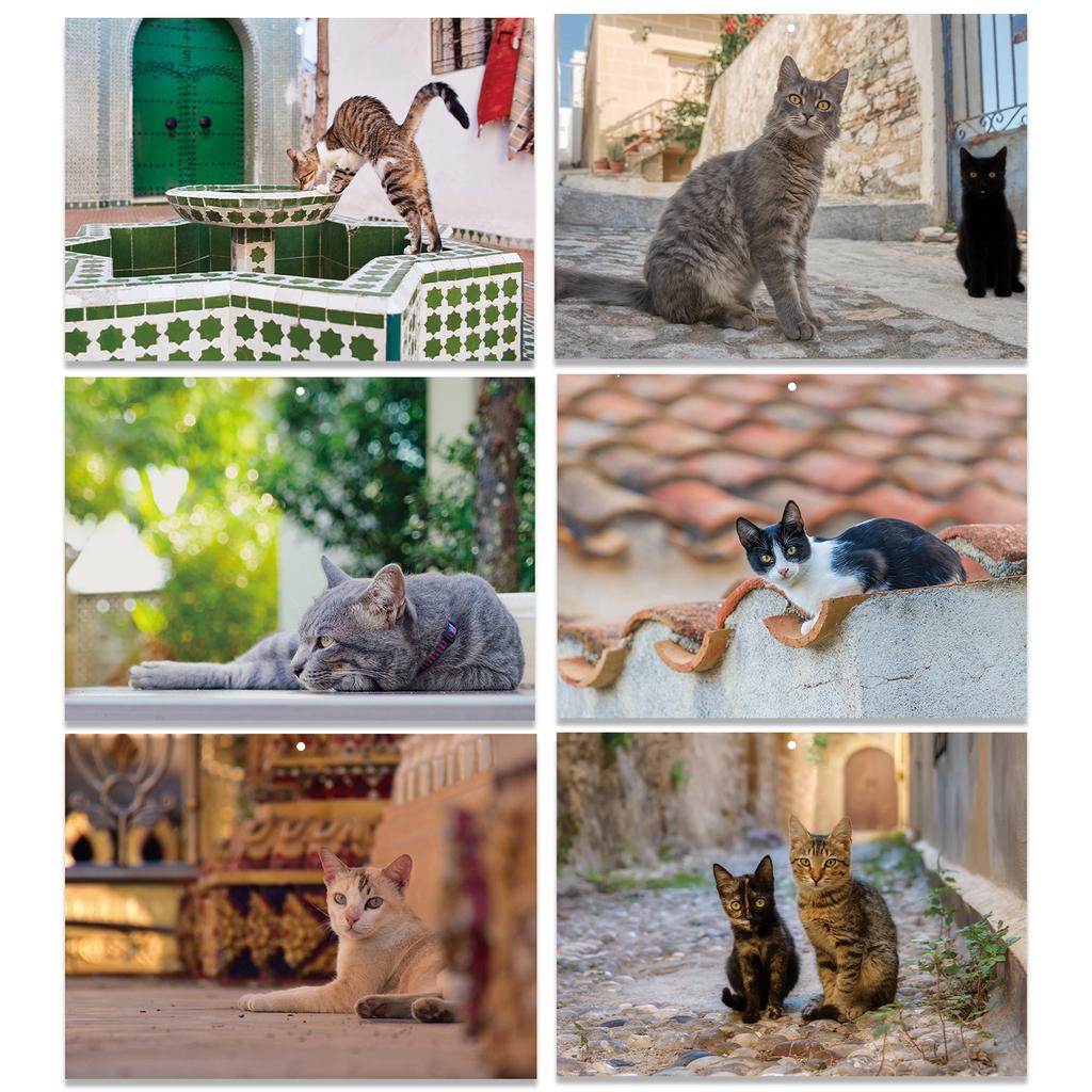 Tematický nástěnný kalendář 2026 Anglický měsíční kalendář s 16 HD fotografiemi