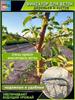 Fruit Tree Branch Pulling  Side Branch Separation Device Shaping Branch Bending Branch Pressing Branch Shaping Device