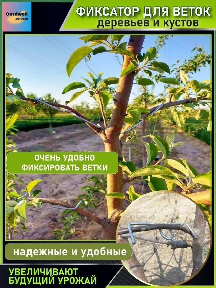 Fruit Tree Branch Pulling  Side Branch Separation Device Shaping Branch Bending Branch Pressing Branch Shaping Device