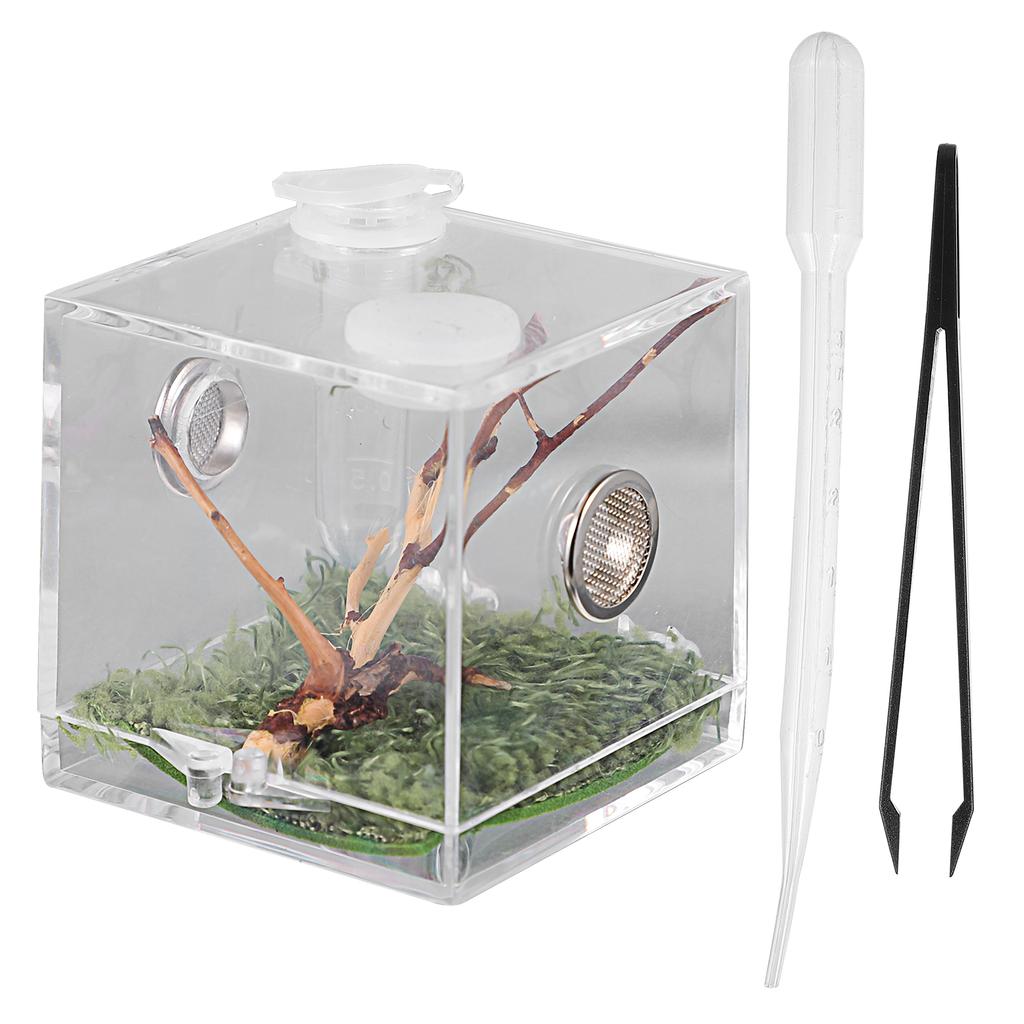 Small Reptile Breeding Box with Dropper and Forceps Pet Terrarium Transparent Acrylic Cage Insect Jumping Spider Feeding Box
