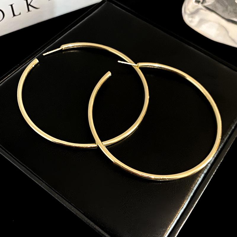 High-End Light Luxury Cold-Style Metal Hoop Earrings