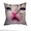 Funny Cat Meme Pillow Case Pillow Case Living Room Sofa Cushion Cover Suitable For Home Bedroom Room Decoration