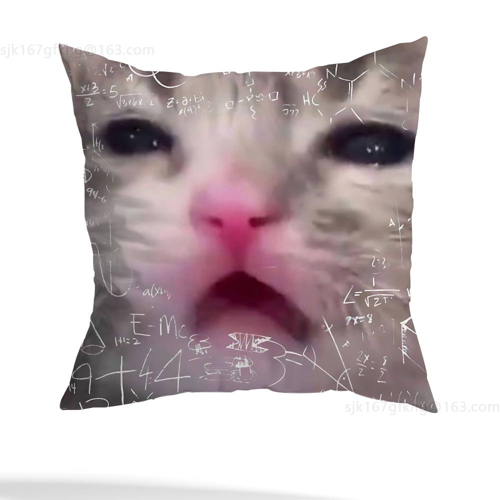Funny Cat Meme Pillow Case Pillow Case Living Room Sofa Cushion Cover Suitable For Home Bedroom Room Decoration