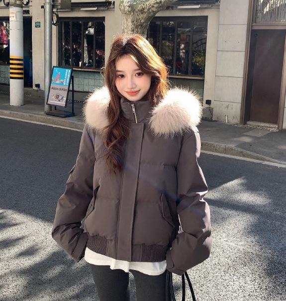 Winter new women's fashion big fur collar down cotton clothes foreign look thin warm cotton coat