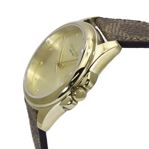Coach Greyson 36mm Women's Watch with Yellow Gold Dial, Leather Strap, and Signature C (14504111)
