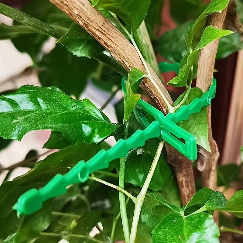 20/60PCS Reusable Plastic Wire Ties Bundle Strap Fastener Durable Binding Line for Cable Management