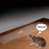 Invisible Transparent Mouse Trap Mat For Catching Rodents In Home Use Strong Adhesive Sticky Pad For Rat Control X 28cm)