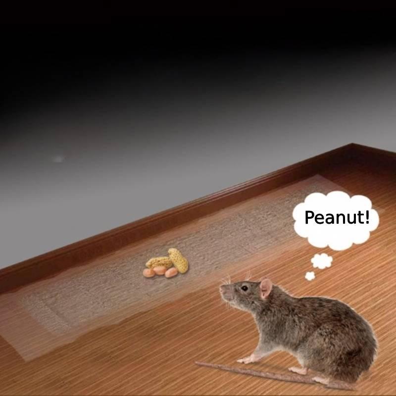 Invisible Transparent Mouse Trap Mat For Catching Rodents In Home Use Strong Adhesive Sticky Pad For Rat Control X 28cm)