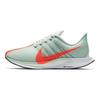 Zoom Pegasus Turbo
