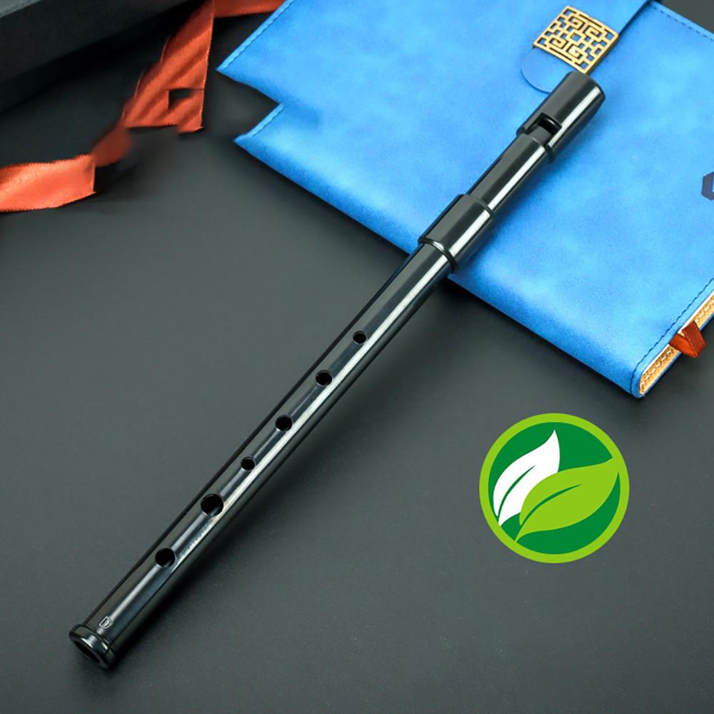 Блокфлейта Schwinger 6 отверстий, тон D, из смолы, для начинающих, портативная, нетоксичная, флейта-блокфлейта, музыка для детей чёрный