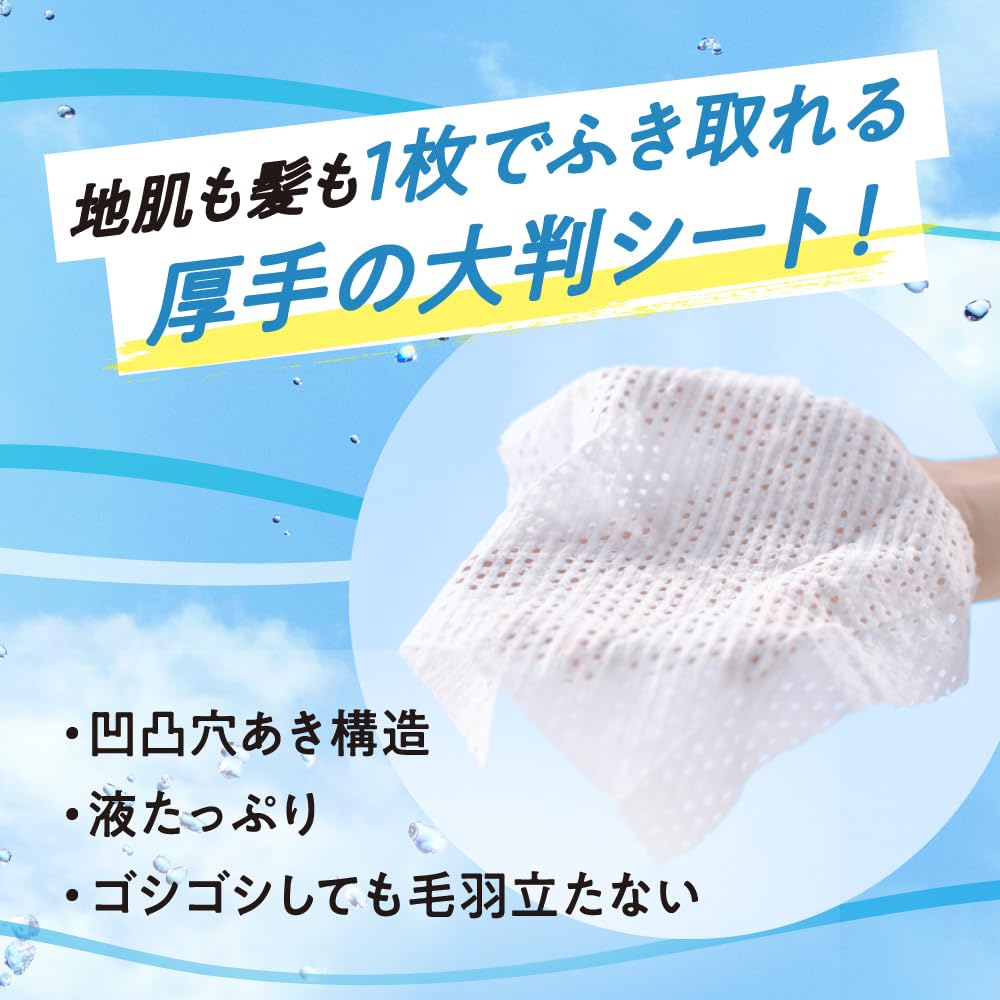 Merit Day Plus Dry Shampoo White 12 Sheets Sheets, Green,