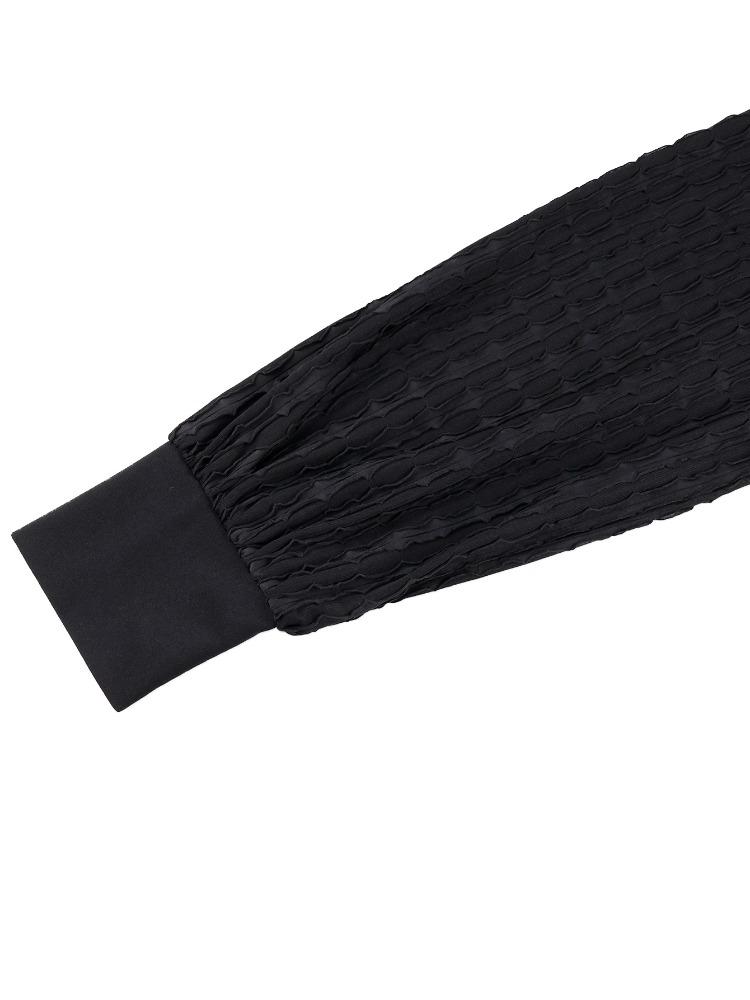 Elegant Women Button Up Blouse Long Textured Lantern Sleeve Blazers Autumn Winter Casual Office Wear Formal Business Outfit