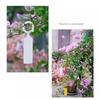 100Pcs Greenhouse Bonsai Collar Signs Ring Label Hook Tree Marker Nursery Stake Plastic Garden Hanging Plant Tags