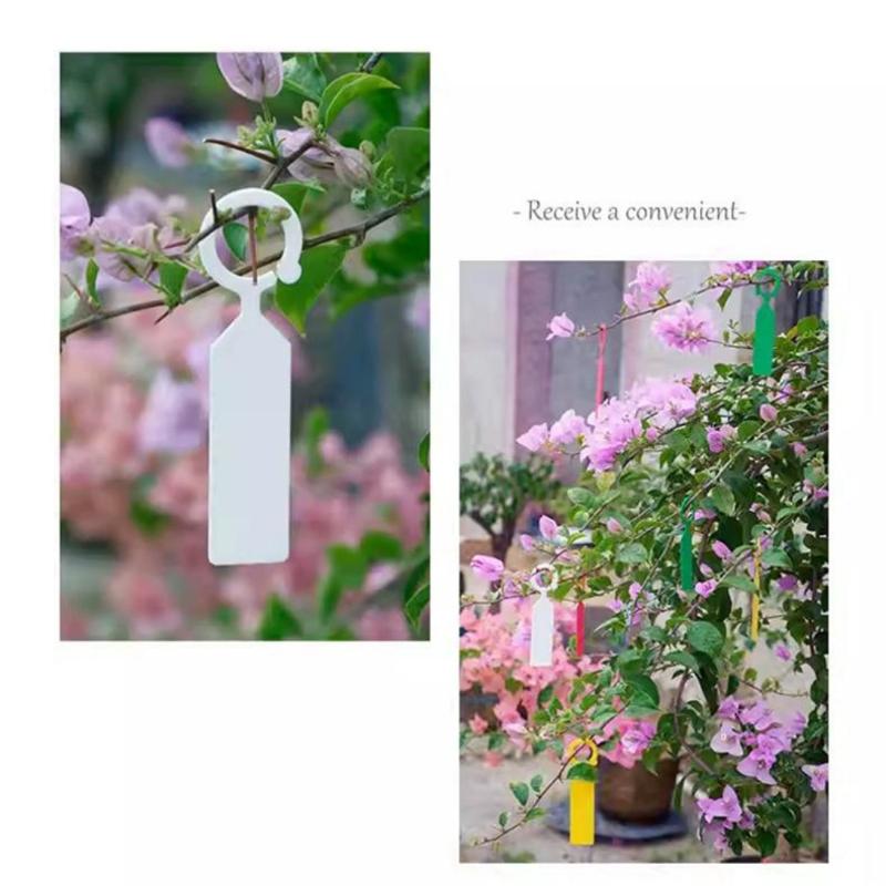 100Pcs Greenhouse Bonsai Collar Signs Ring Label Hook Tree Marker Nursery Stake Plastic Garden Hanging Plant Tags