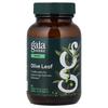 Gaia Herbs Olive Leaf Liquid Phyto-Caps, 60 Capsules