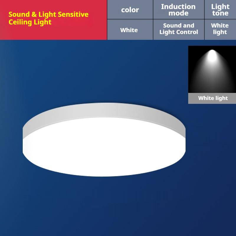 Modern LED Ceiling Light Energy-Saving Induction Radar Infrared Human Body Sensing Sound Control for Staircase Balcony Plastic