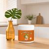 260g Stain Remover, Coconut Oil Cleaning Paste for Kitchen, Multi-Purpose Coconut Oil Cleaning & Polishing Paste, Burnt Food Remover
