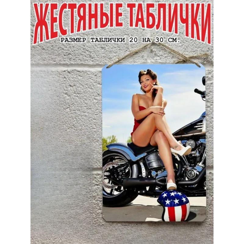 Motorcycle Metal Wall Art 20x30cm, Vintage Bike Decor Plaque