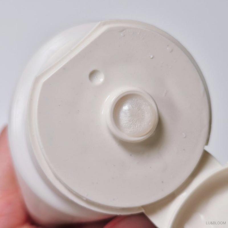 Innisfree New Green Tea Amino Hydrating Cleansing Foam 150g / 250g (+Free gift)