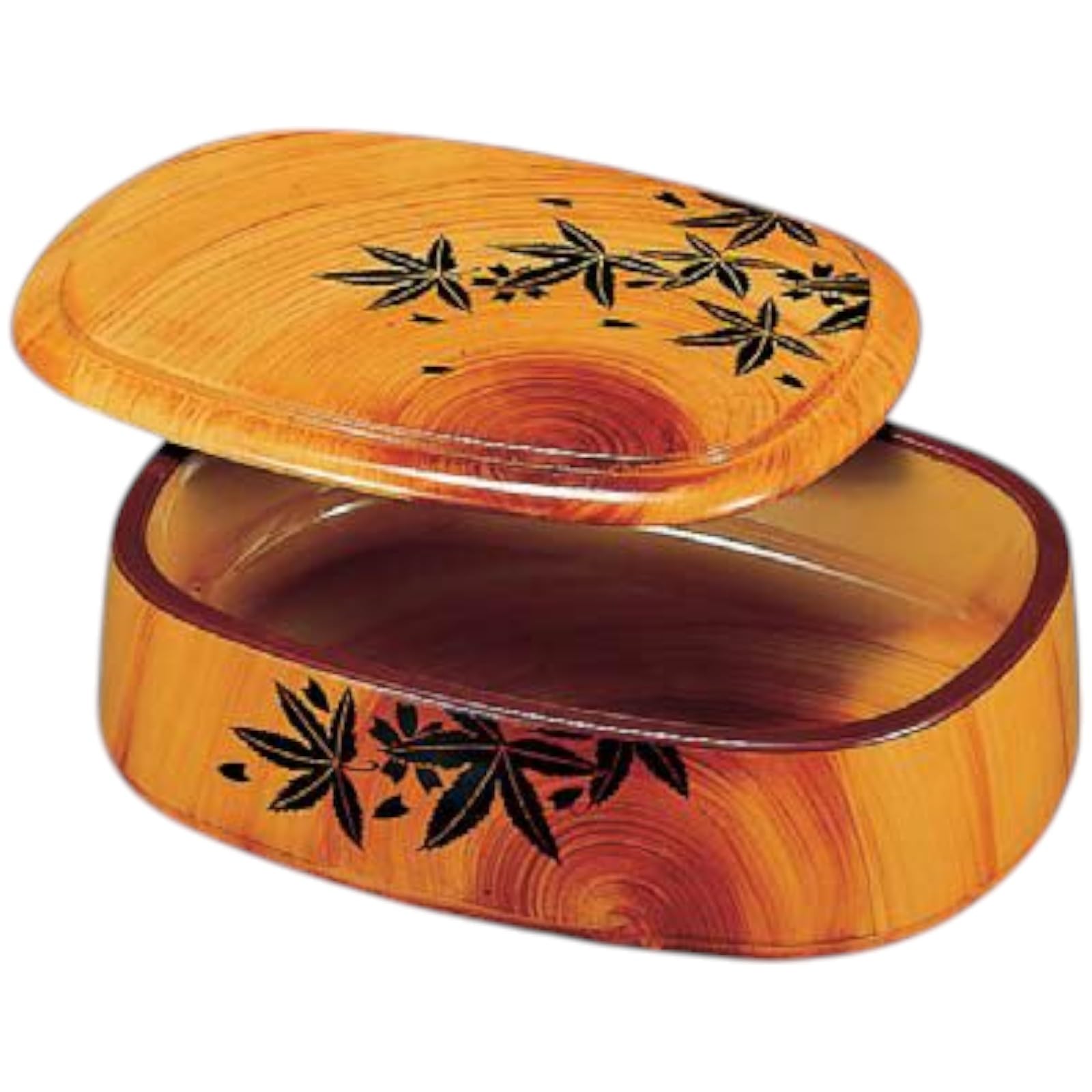 

Sushi Plate Oke Oval Special Oke Korin Momiji Inner Korin Made in Japan J-kitchens (Sushi Oke)