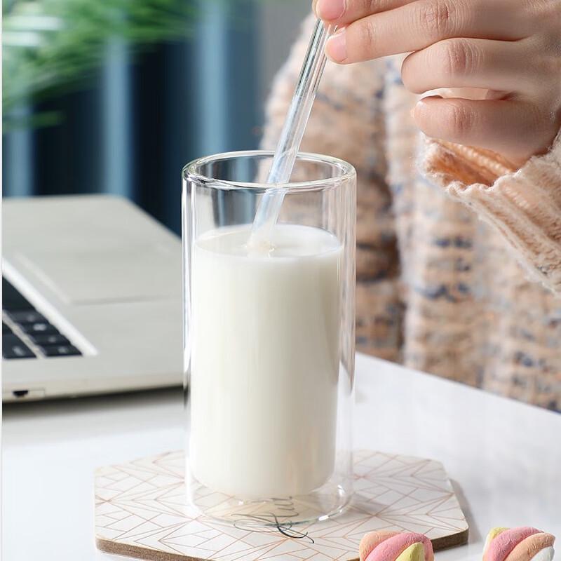 Stylish Double-Wall Glass Water Mug