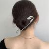 Silver Pin Hairpin Golden Metal Shark Clip Personalized Brooch Shaped Hair Clip  Headwear